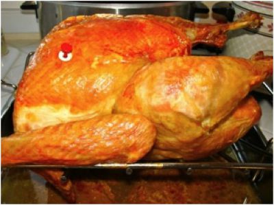 Roast Turkey From Thawing to Table with Pictures